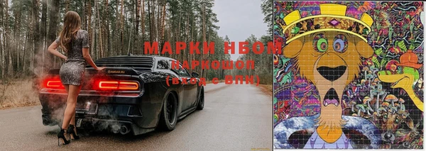 Альфа ПВП Майский