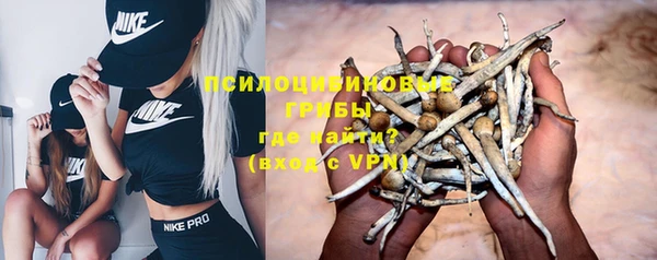 spice Липки